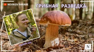Грибная разведка 18 июля 2026. Всеволожский район.