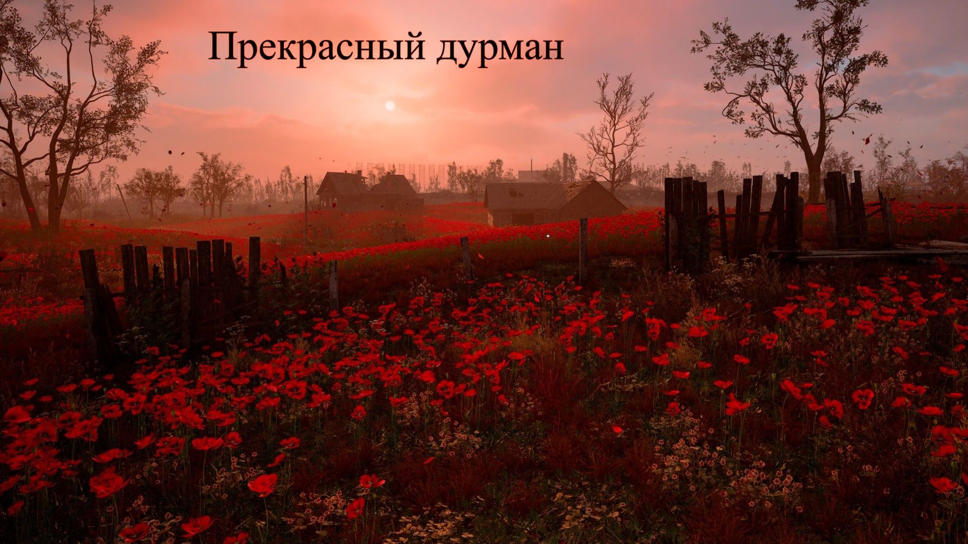 Прохождение S.T.A.L.K.E.R. 2: Heart of Chornobyl. Часть 3. Прекрасный дурман. смотреть онлайн