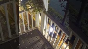 Чупакабра попала на видео,я б перепугался это.