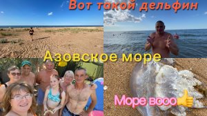 Азовское море. Шашлык от Юры. Медузы на море.