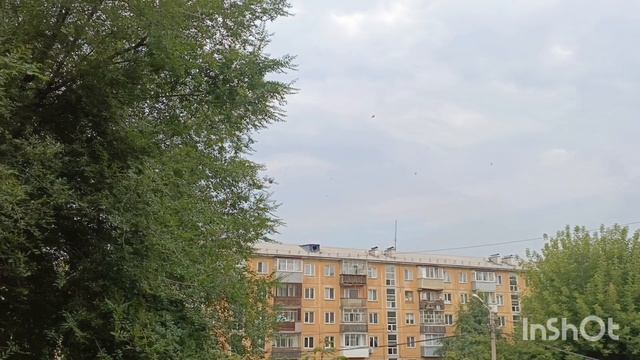 Прошу помощи 🙄, что я делаю не так, сделала подсветку пеларгониям ,фил плачет 😂 смотреть онлайн