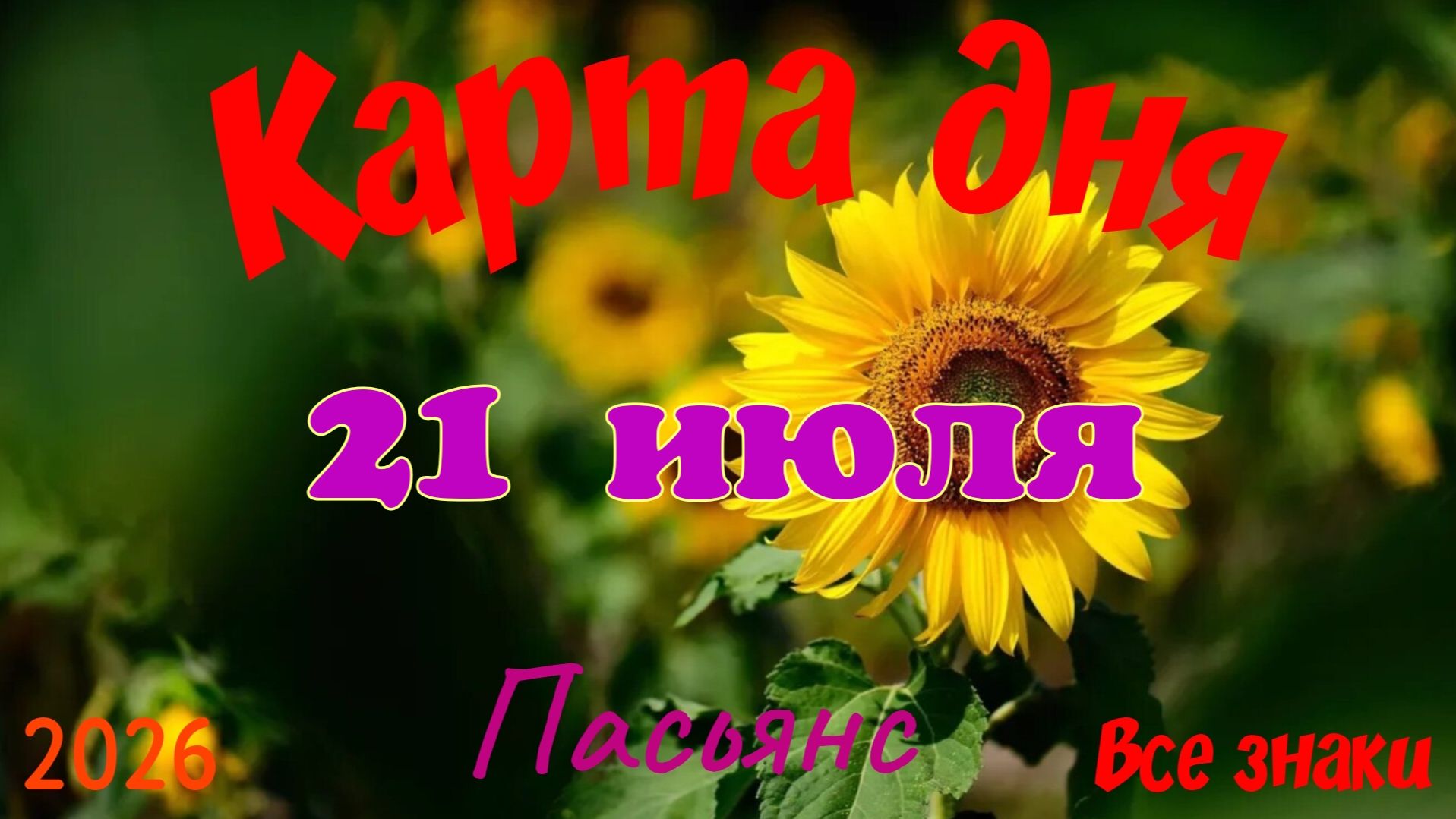 Карта дня🍒21 июля🍀💫Пасьянс. Тайм-код в описании 🦢 смотреть онлайн