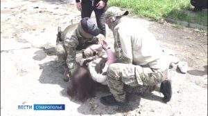 Успех русских бойцов зависит и от работы тыла: Ставрополье тому пример