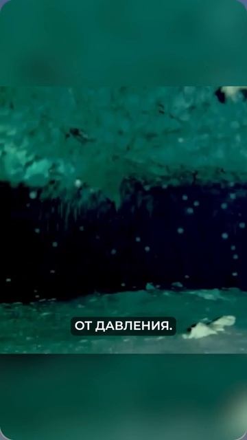 Антарктида смотреть онлайн