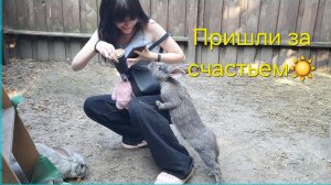 Ярославль 💥Пошли за СЧАСТЬЕМ ☀️Море позитива🌸