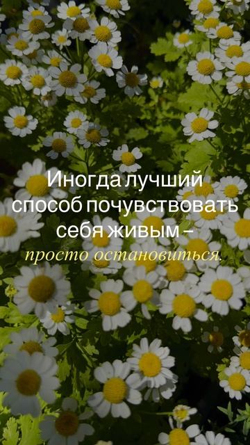 Мудрости от сады-эдема.рф или как медетируют садоводы 😁🤗