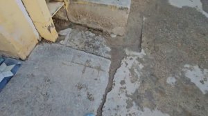 Пытались посмотреть рассвет, но сбились с пути. Индианка готовит у нас дома кокосовый соус.