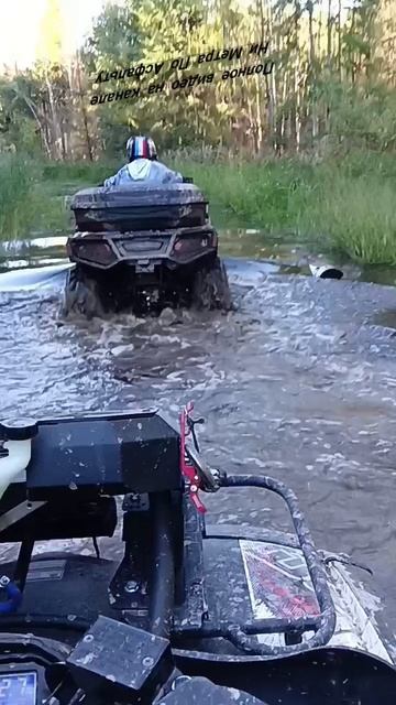 В болоте 🤬