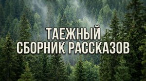 СБОРНИК ТАЕЖНЫЙ ЛЕС | Аудио рассказы