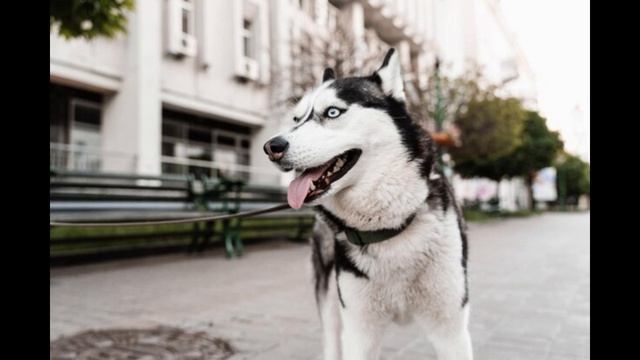Марина Урусова. Натуралистические записки Марина Урусова. Натуралистические записки