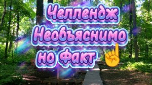 ВЛОГ. РЕШИЛА ЗАПУСТИТЬ ЧЕЛЛЕНДЖ 🤗