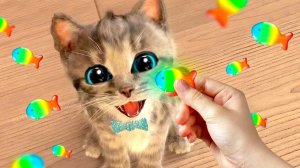 Анимация Little Kitten Prescho