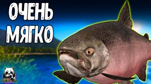 Рыбки вылетали одна за другой — я даже не чувствовал, как они клюют #рр4