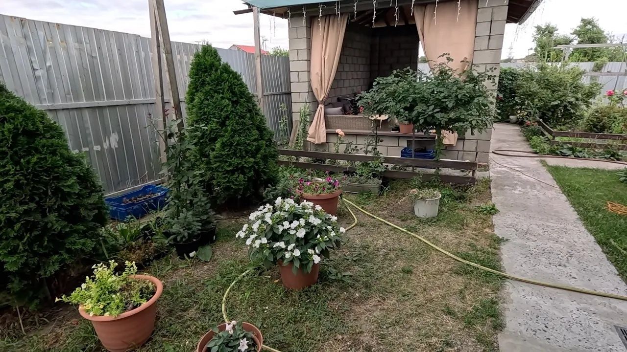 Жизнь вне орхидей. ОНИ исчезли и старые и новые а цветок ЖИВЕЕ всех ЖИВЫХ ⧸⧸ ЧП на стройке смотреть онлайн