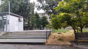 И смех и грех, а рыбку пришлось покупать! 19.07.2026