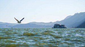 Паром с 116 людьми на борту затонул у берегов Гайаны
