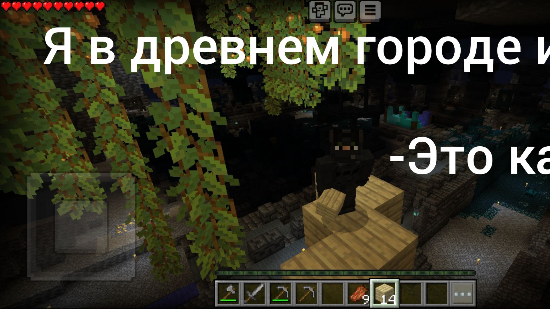 Майн бедрок 1.21
