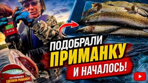 ПОДОБРАЛИ приманку и НАЧАЛОСЬ / ЩУКА ЛЮБИТ такую СНАСТЬ
