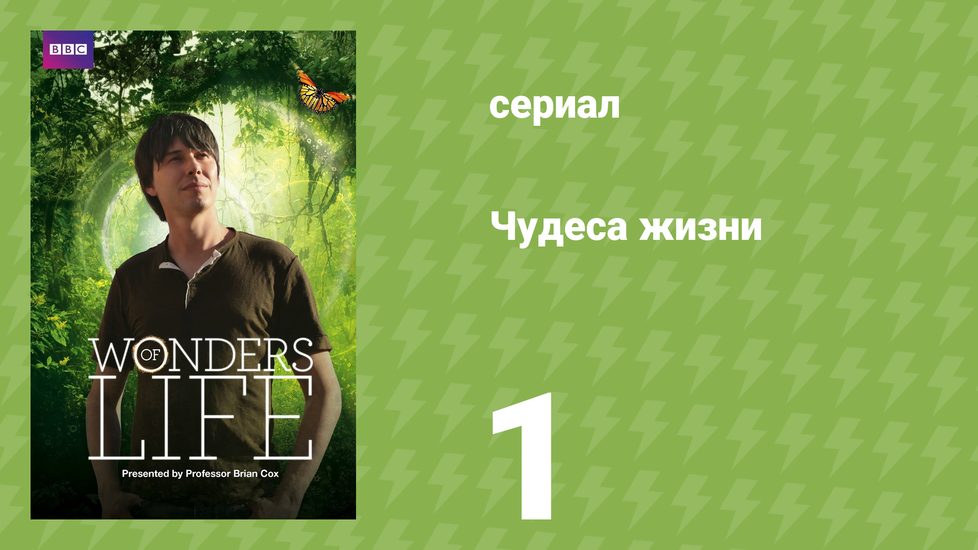 Чудеса жизни 1 серия «Матрица жизни» (документальный сериал, 2013) смотреть онлайн