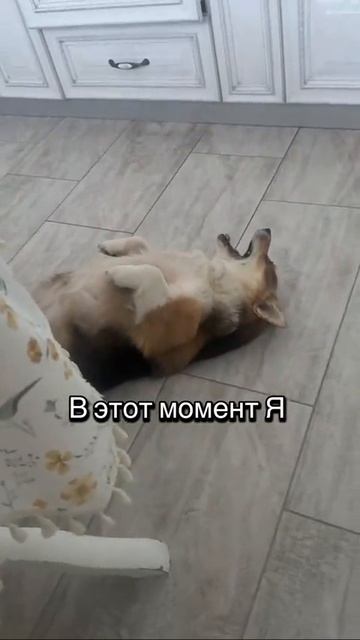 кааайф