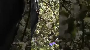 Деревня