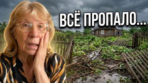 Огород моей мечты... и что от него осталось после торнадо