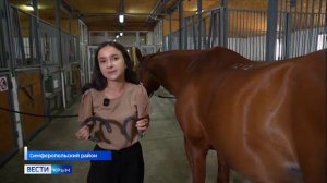 Кто такие ковали и почему, прежде чем подковать коня, нужно подковать блоху?
