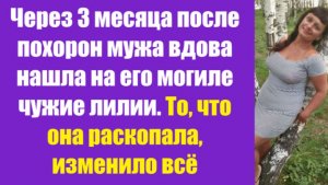 Истории из жизни | Аудио рассказы | Через 3 месяца после похорон мужа вдова  | Жизненные истории