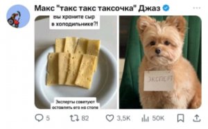 химка по мнению интернета