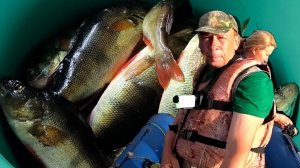 Поехали за щукой, а надубасили хороших окуней. Июль, ХМАО.