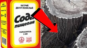 Как избавиться от пня За 3 Секунды.!!!!