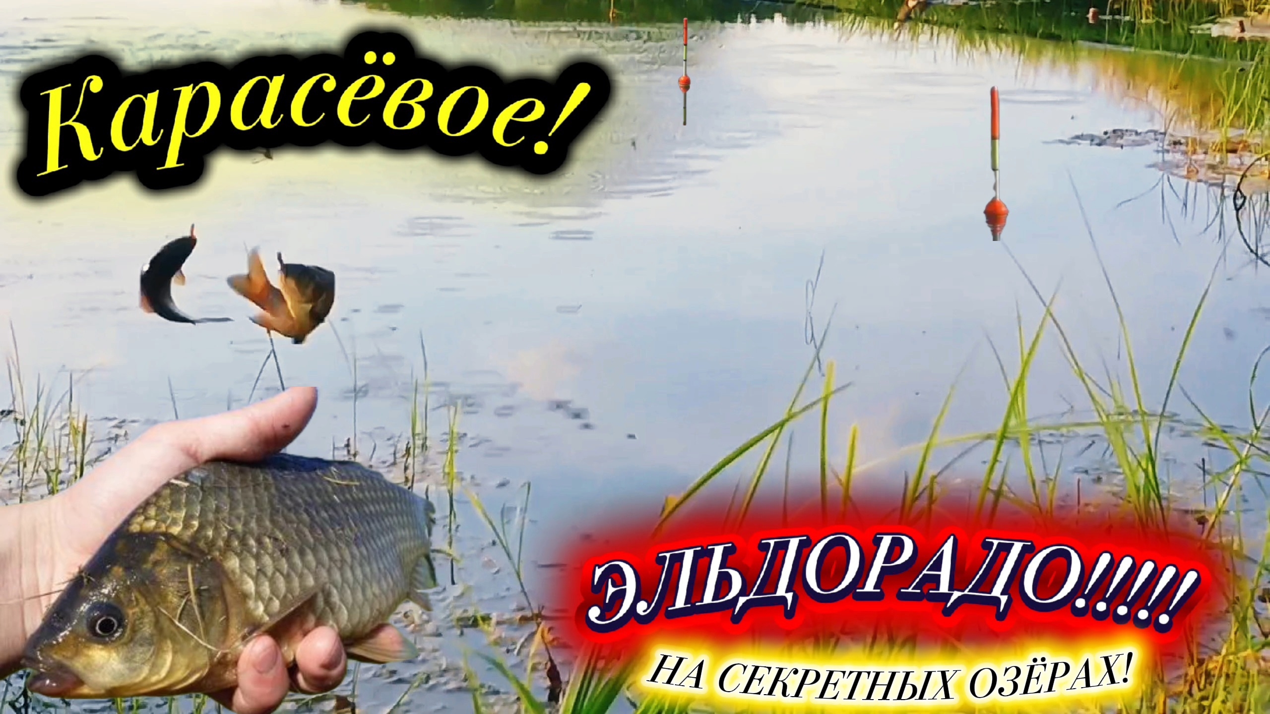СУМАШЕДШЕЕ ЭЛЬДОРАДО КАРАСЯ!!! Лучшая Летняя Рыбалка 2026!!! УБОЙНЫЙ КЛЁВ КАРАСЯ НА ДИКИХ ОЗЁРАХ! смотреть онлайн
