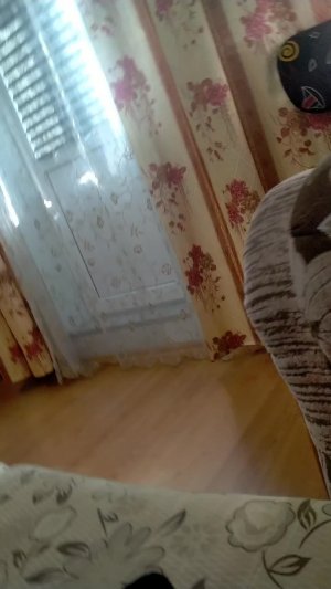 жду всех своих подписчиков в этом стриме
