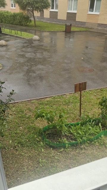Сегодня дождик⛈️ #гроза #дождь #грусть