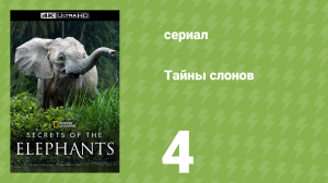 Тайны слонов 4 серия «Азия» (документальный сериал, 2023)