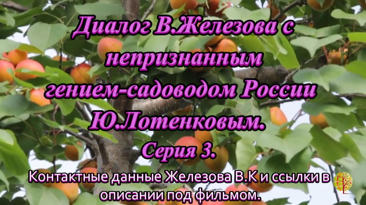 Диалог В.Железова с непризнанным гением-садоводом России Ю.Лотенковым.  Серия 3.