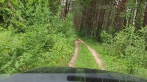 Открываем грибной сезон .