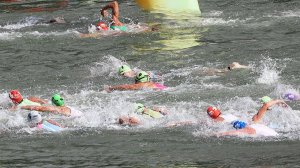 В Москве разыграли Кубок чемпионов по плаванию на открытой воде в акватории Москвы-реки