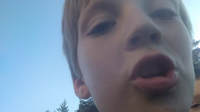 VID_20260718_190635.mp4 смотреть онлайн