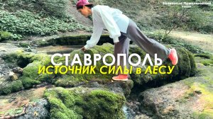 НАЙДЕН источник СИЛЫ в ЛЕСУ