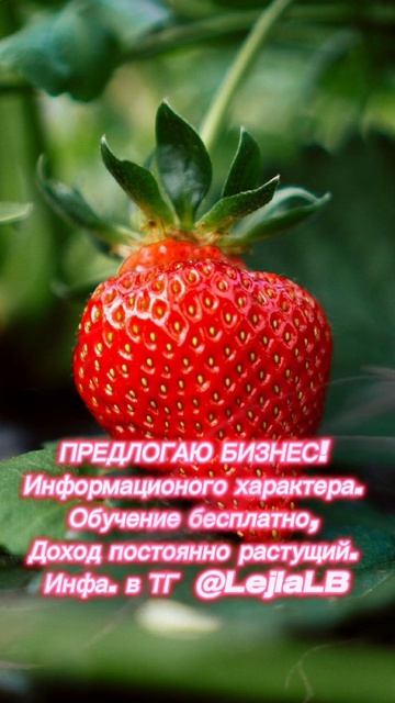 Не откладывай на завтра то, что можно изменить сегодня!