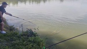 Поимка карпа на большом водоёме