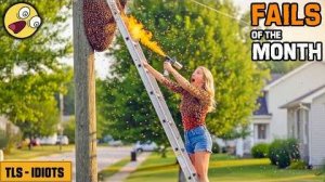 (NEW!) TLS - TOTAL IDIOTS AT WORK #72 💥