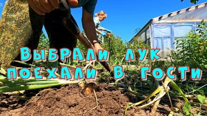 Лук выбрали и поехали в гости