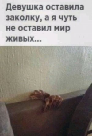 я не ожмдала