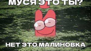 КРАТКИЙ ТЫ ЧЁ В БОЛОТЕ ЗАБЫЛ!?