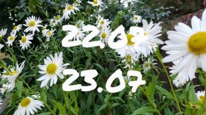 Лунный Календарь Комнатного Цветовода с20.07-26.07.26г.