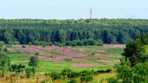 Пока ловили покемонов( былое)