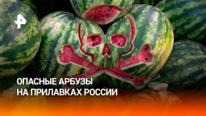 Российские прилавки заполонили арбузы с опасными химикатами