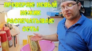 Электронож для сот: ожидания vs реальность. Как на самом деле готовлю мёд к продаже